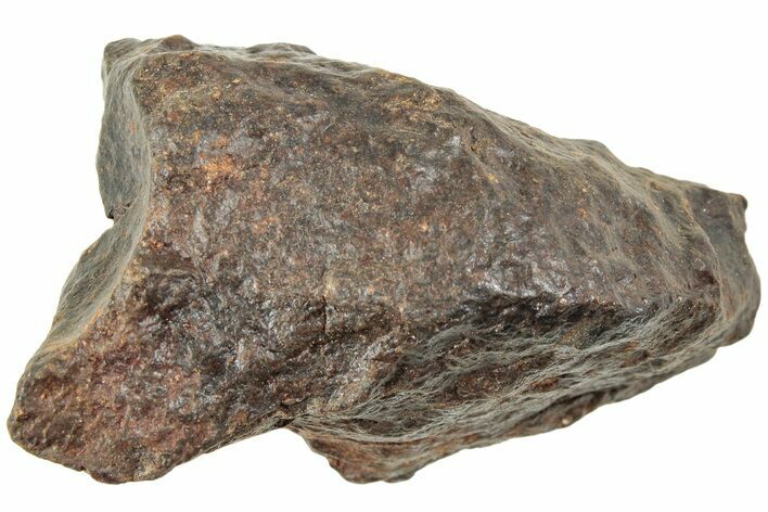 Chondrite Meteorite ( g) - Western Sahara Desert #233218